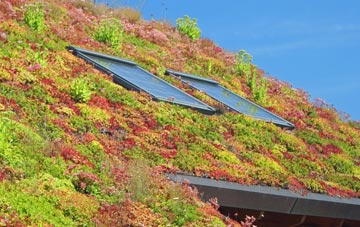 Yafforth living roof systems