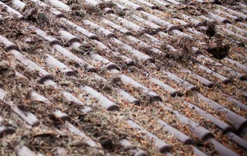 Yafforth roof cleaning companies